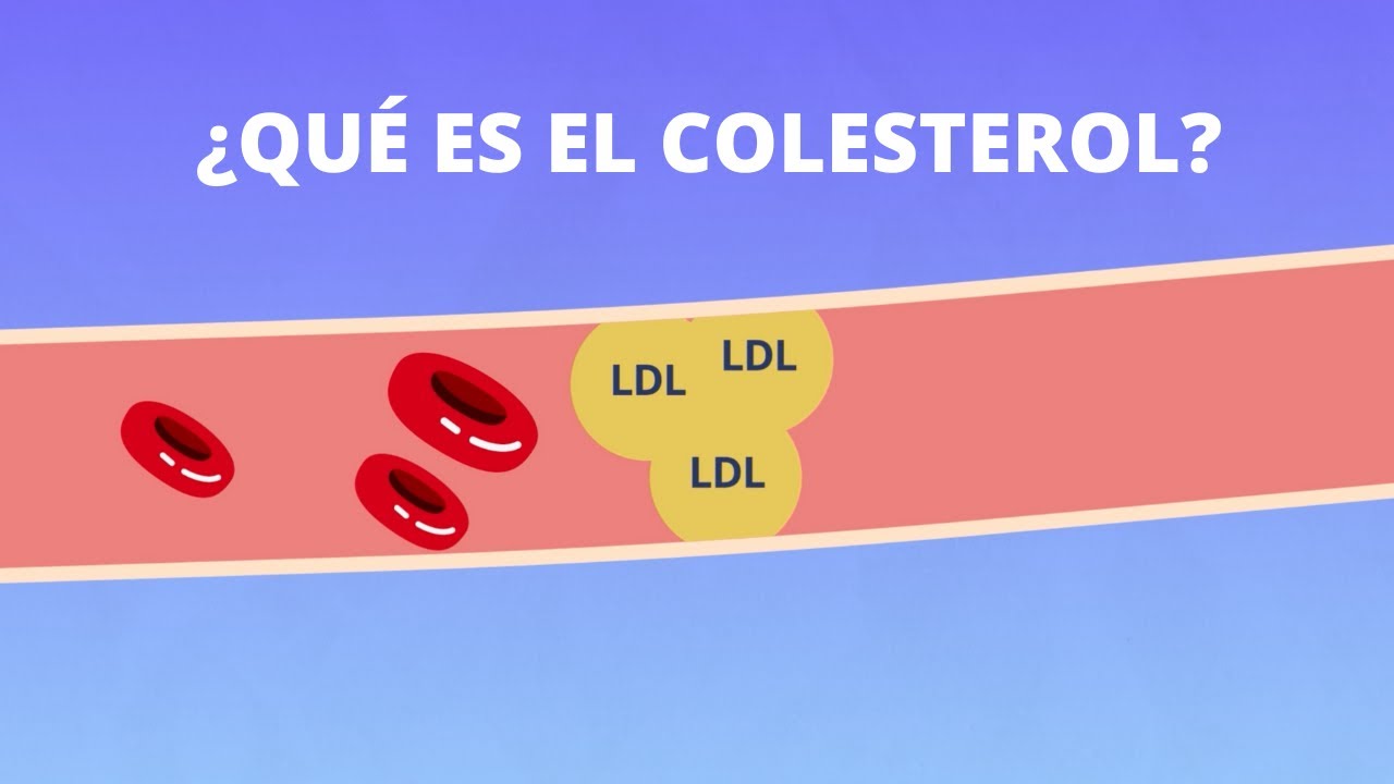 ¿Qué es el colesterol?