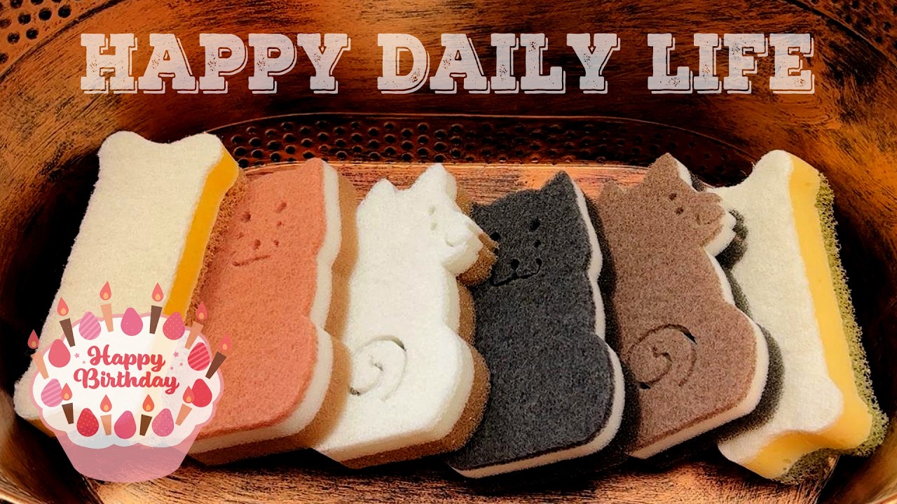 ASMR Sponge 1186.Happy Daily Life