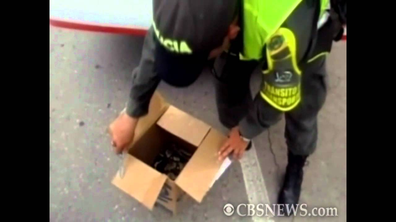 Snake in a box discoverd on tour bus