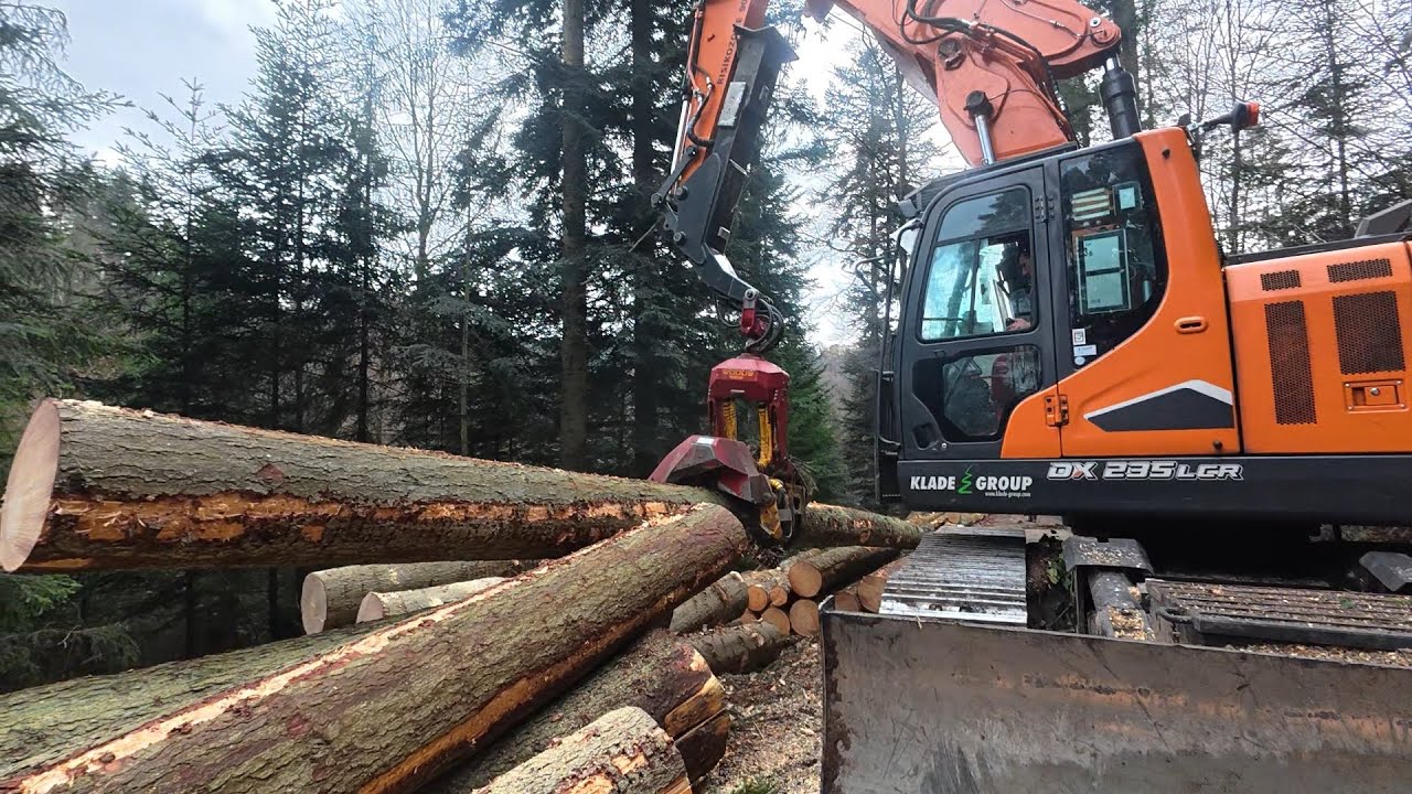 🌲 LOGGING 🌲 Doosan DX 235  LCR - roadside processing