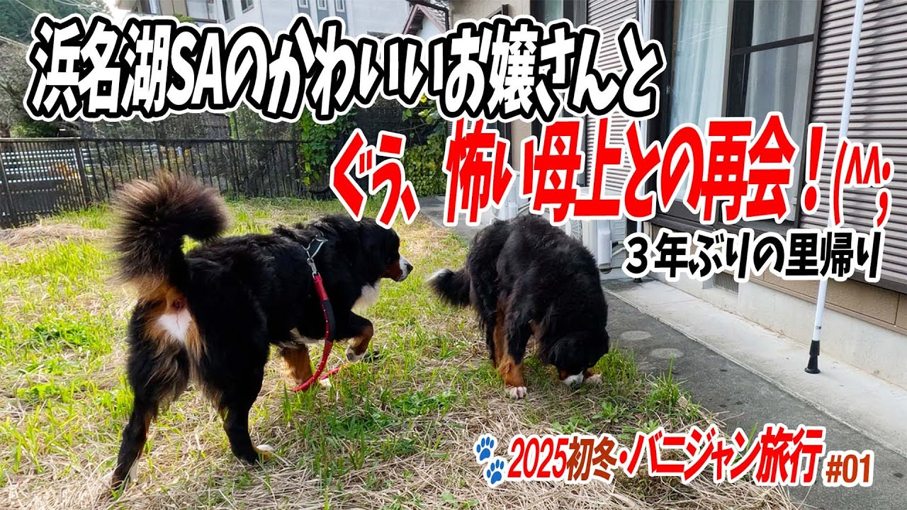 【2025初冬・バニジャン旅行】浜名湖SAと３年ぶりの里帰り／掛川エリン舎／たびばに。