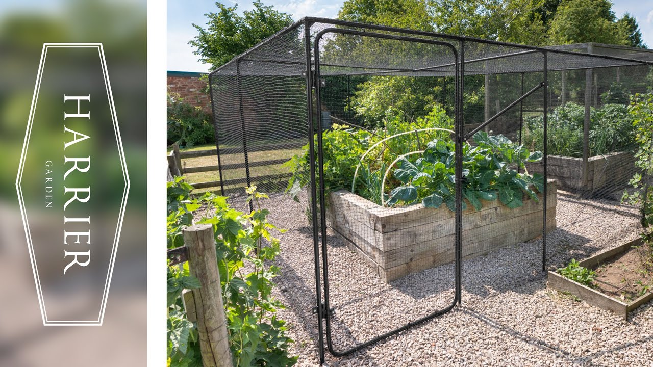 Harrier Fruit Cage's | Keep your fruit & veg PEST FREE!