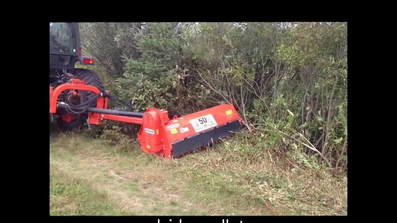 maschio girafetta 160