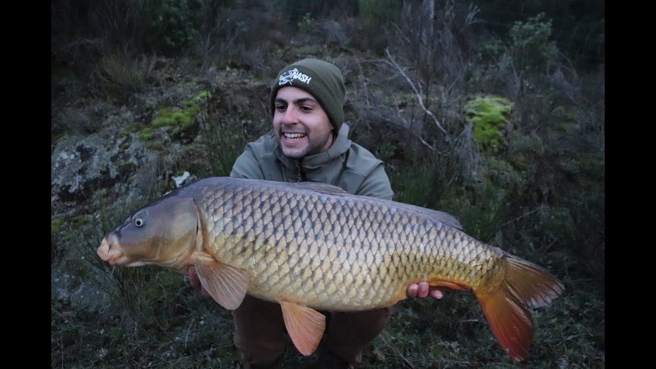 CARP FISHING en INVIERNO - con Juan Maroñas // YOUNG CARP