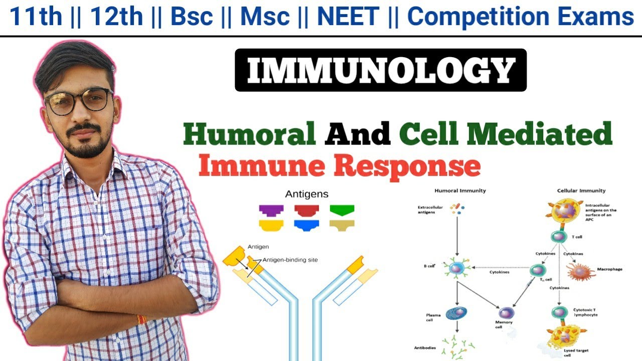 Humoral Immune And Cell Mediated Responce In Hindi || IMMUNOLOGY || Immune System || By Dadhich Sir