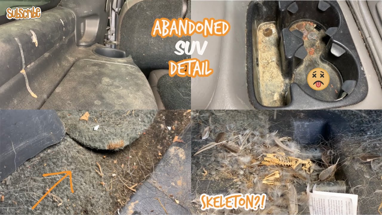 Deep Cleaning A NASTY Chevy Tahoe | Complete DISASTER Detail | Satisfying Transformation