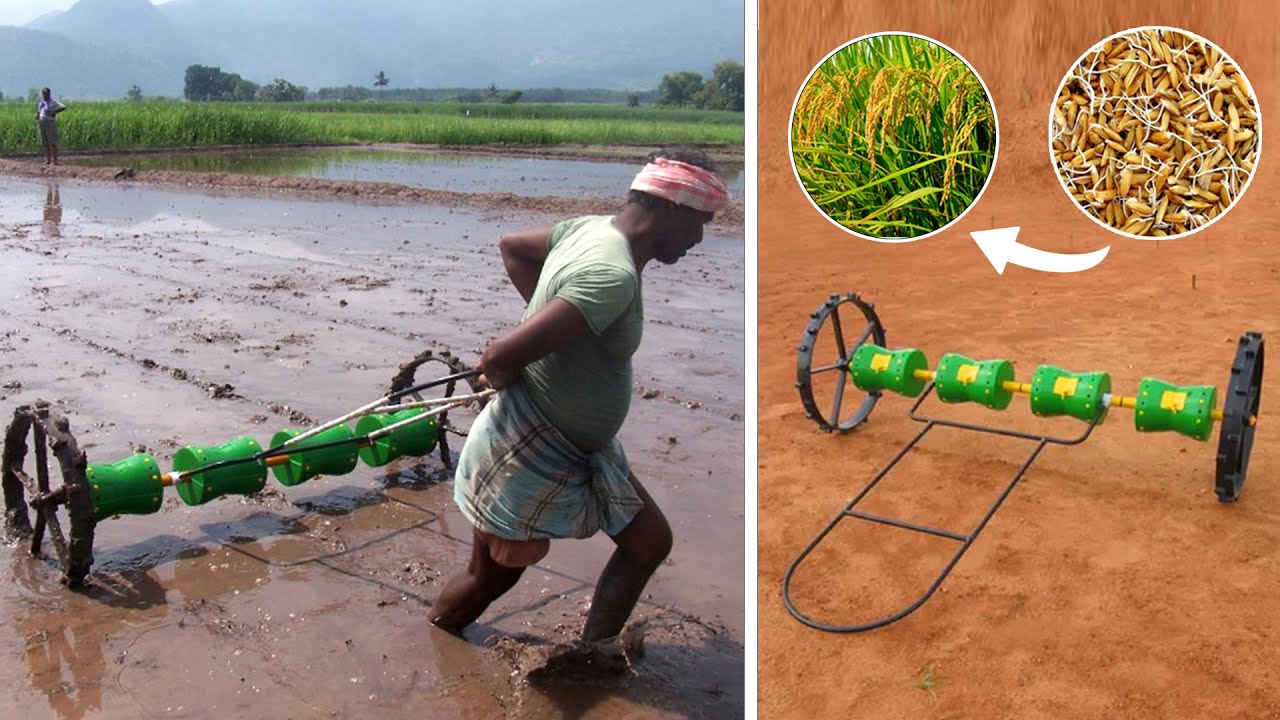 सस्ते में धान लगाये इस मशीन से | Paddy Drum Seeder | Dhan Bone ki Machine | Toolsvilla