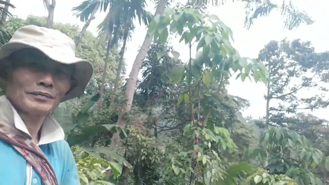 Selain indah alam ini penuh berkah inilah alam desaku