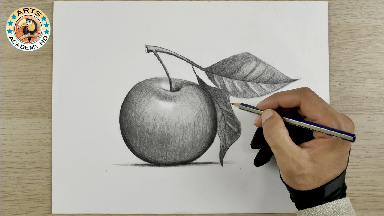 How to Draw Apple | Easy  Apple Drawing | Easy Drawing | still life drawing | رسم | رسم تفاحة