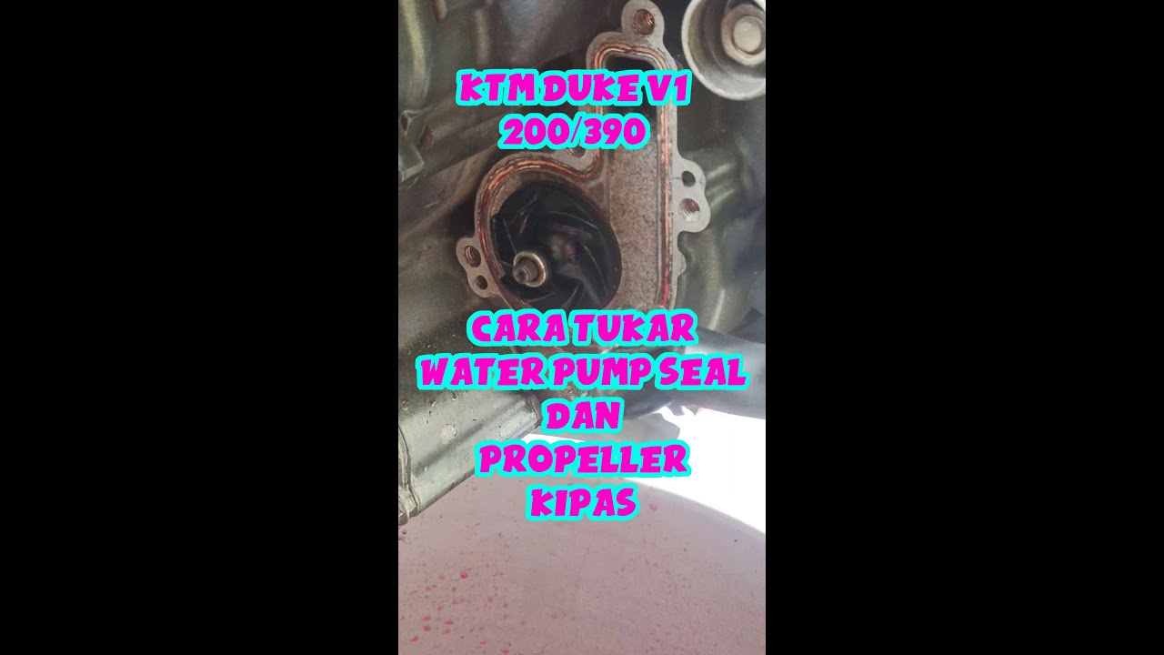 How to change waterpump seal and waterpump fan for KTM DUKE 200 or KTM DUKE 300 (waterpump seal kit)