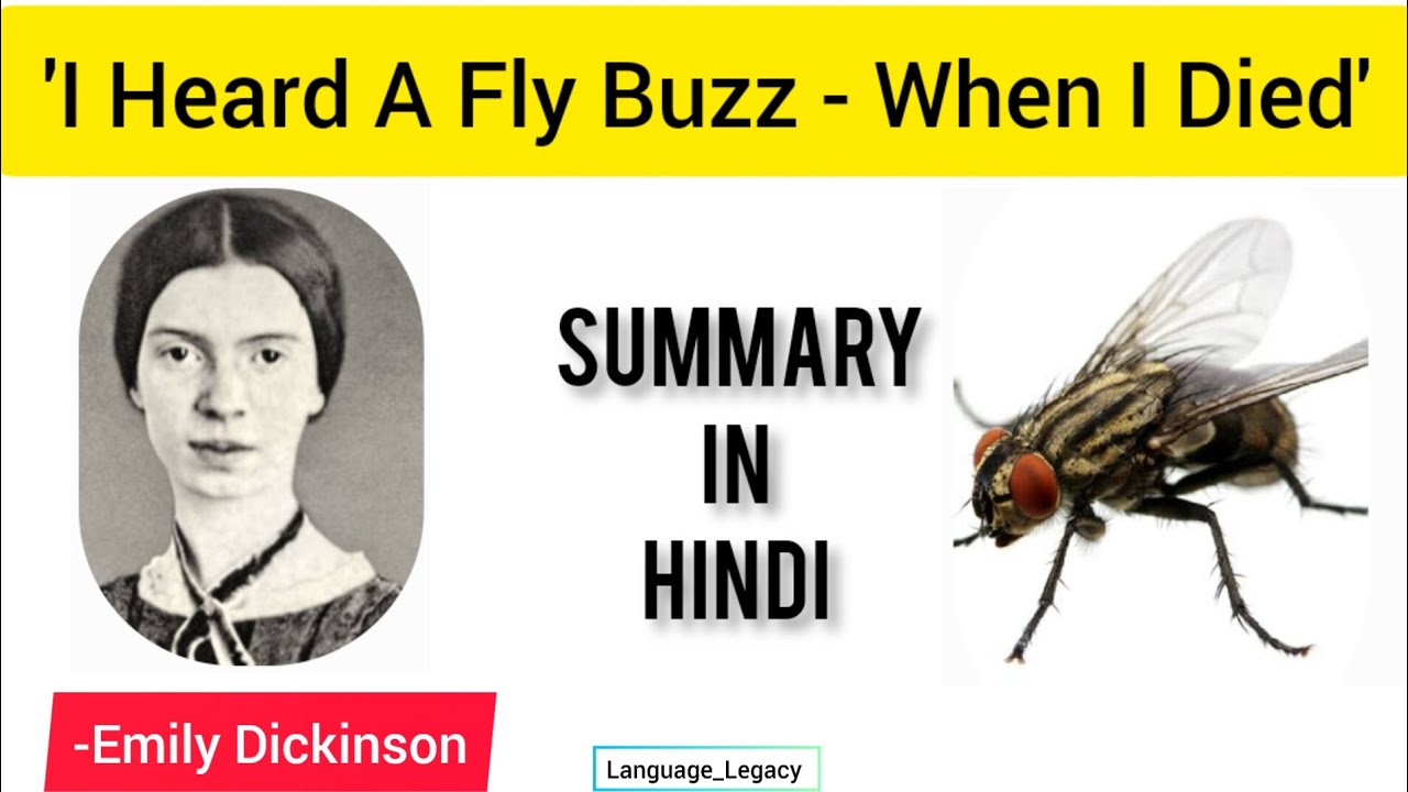 'I Heard A Fly Buzz - When I Died' || Summary in hindi || Summary in hindi