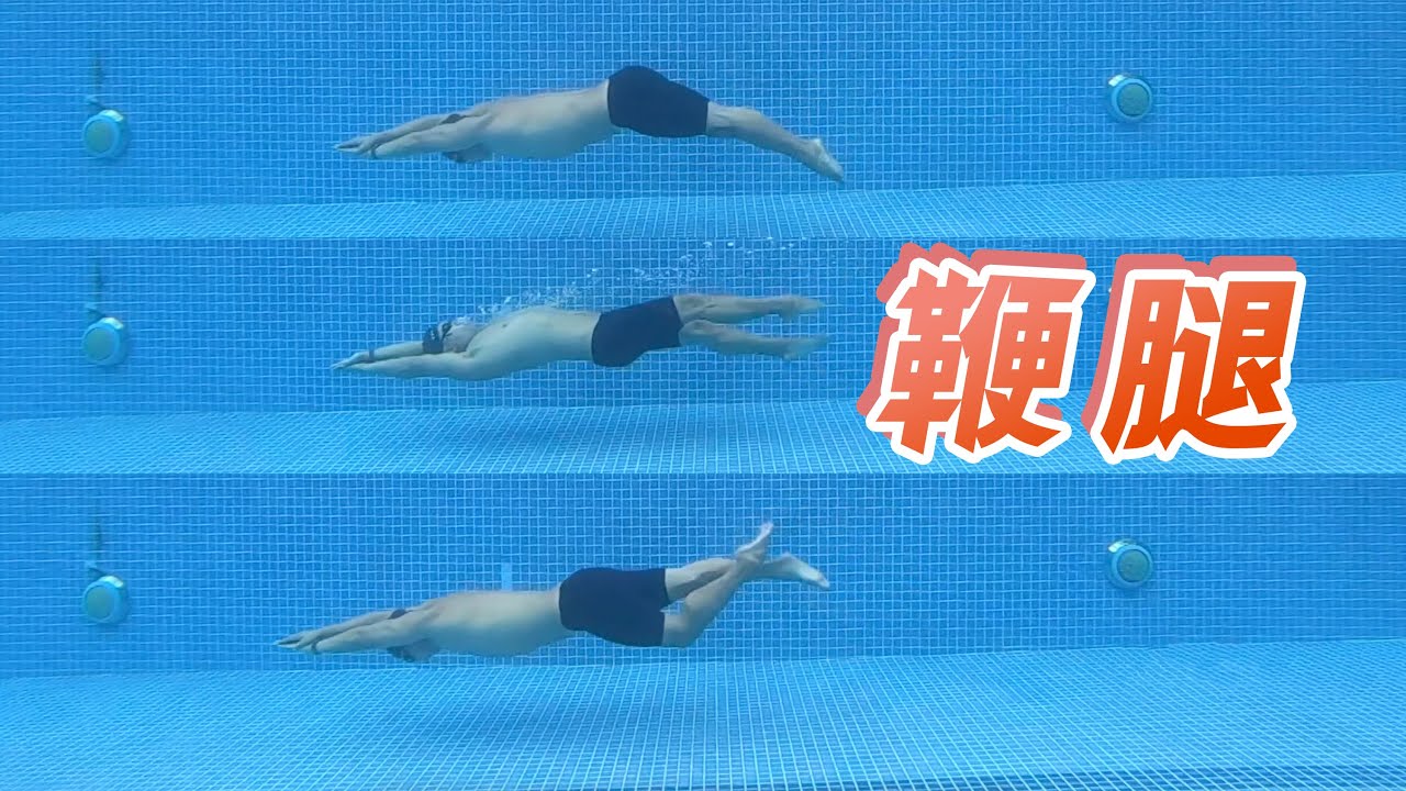 鞭状打腿的本质！两个动作，搞懂自由泳、仰泳和蝶泳的腿部动作｜梦觉教游泳