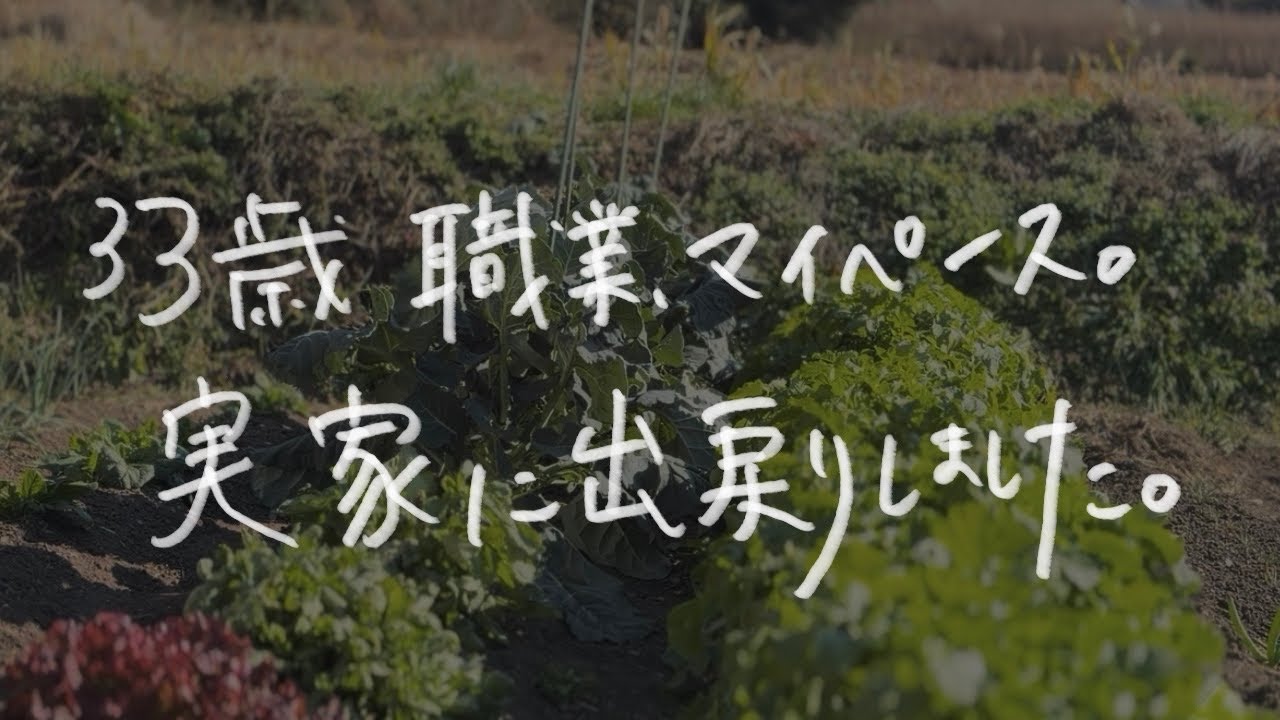 33歳独身女、退職後ついに実家に出戻りしました。｜職業、マイペース。No Rush Japan