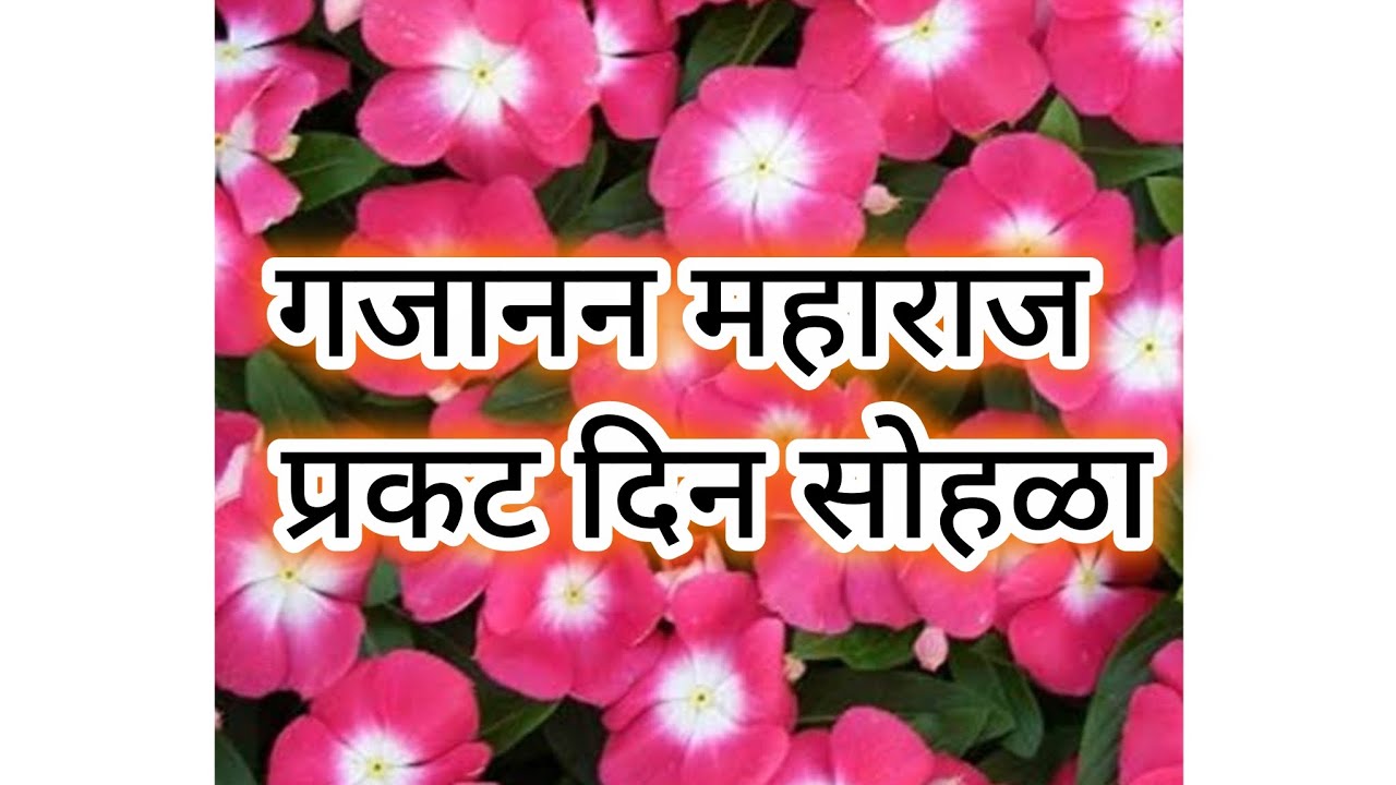 गजानन महाराज प्रकट दिन सोहळा...🌹🙏