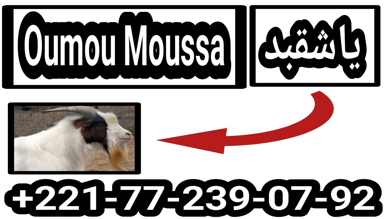 SECRET OUMOU MOUSSA ياشقب هياني بنت لوي