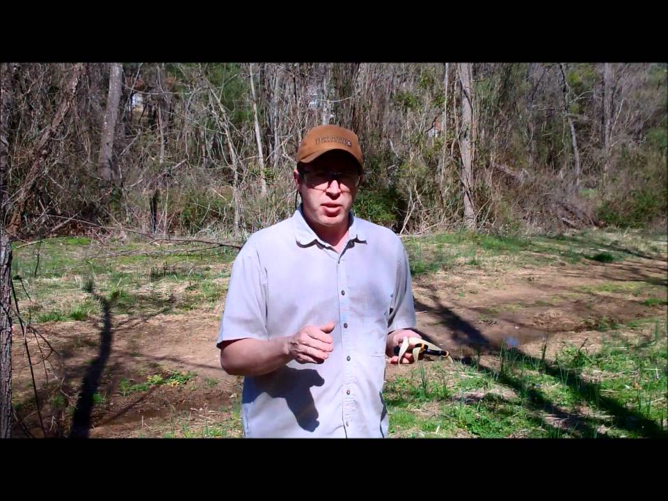 Intuitive Slingshot Shooting and Natural Pointing