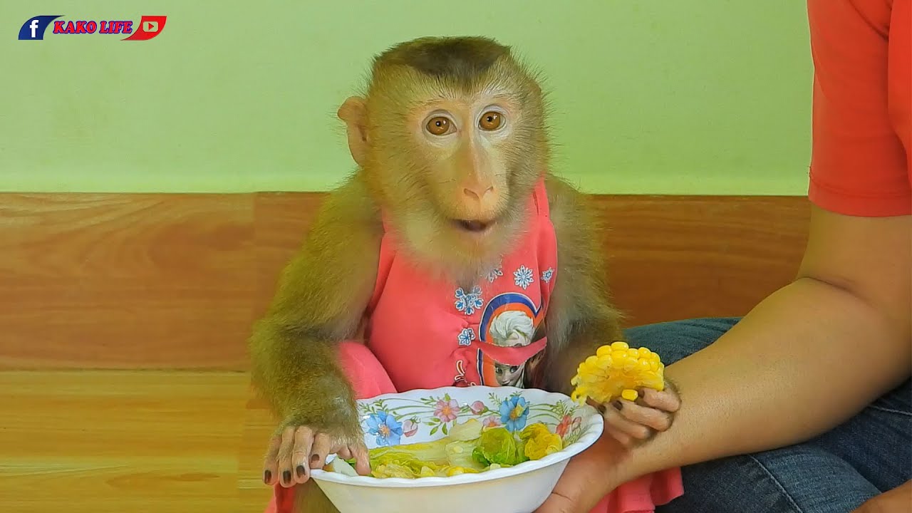Adorable Luna Eating Boiled Vegetables