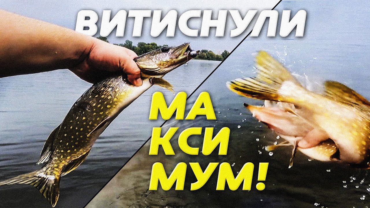 ТРИ ЩУКИ втікачки, СУДАКИ і зальотний ГАРНИЙ ОКУНЬ! Рибалка в Києві на Десенці.
