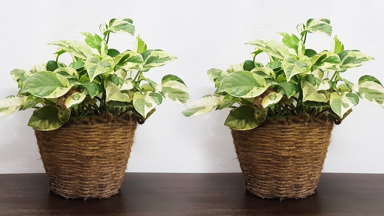 How to Make a Jute Planter at Home | Money Plant Pot |DIY|