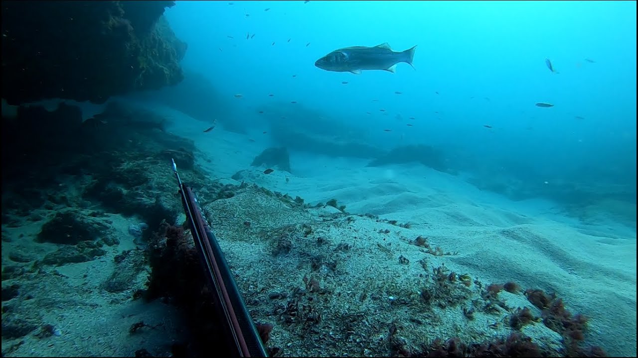 Pesca de invierno By Javier Baena- Beuchat Team