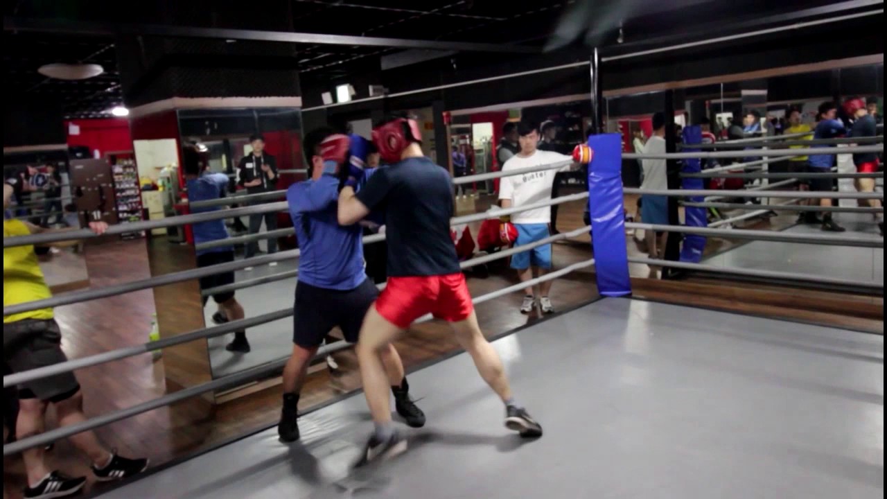 선출은 다르다!!! 은퇴한지 오래되어도 다피해버리는 선출 클라스!!!!!