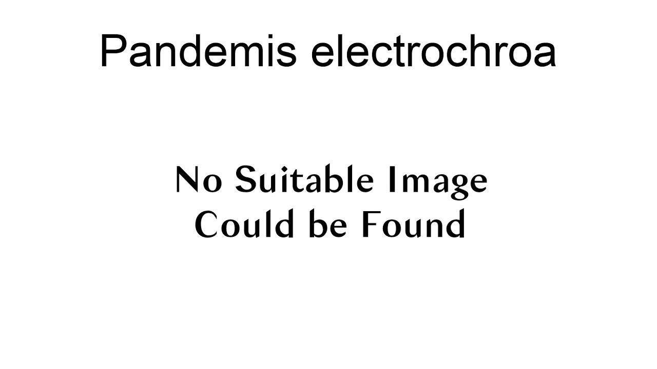 Pandemis Electrochroa