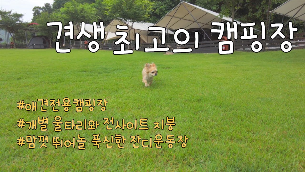 뜻밖의 우중캠핑 | 푹신한 잔디가 너무 좋은 캠핑장 | 애견전용캠핑장 | 비바람이 몰아쳐도 끄떡없는 그곳 | 개별울타리로 단독사이트 느낌이 물씬