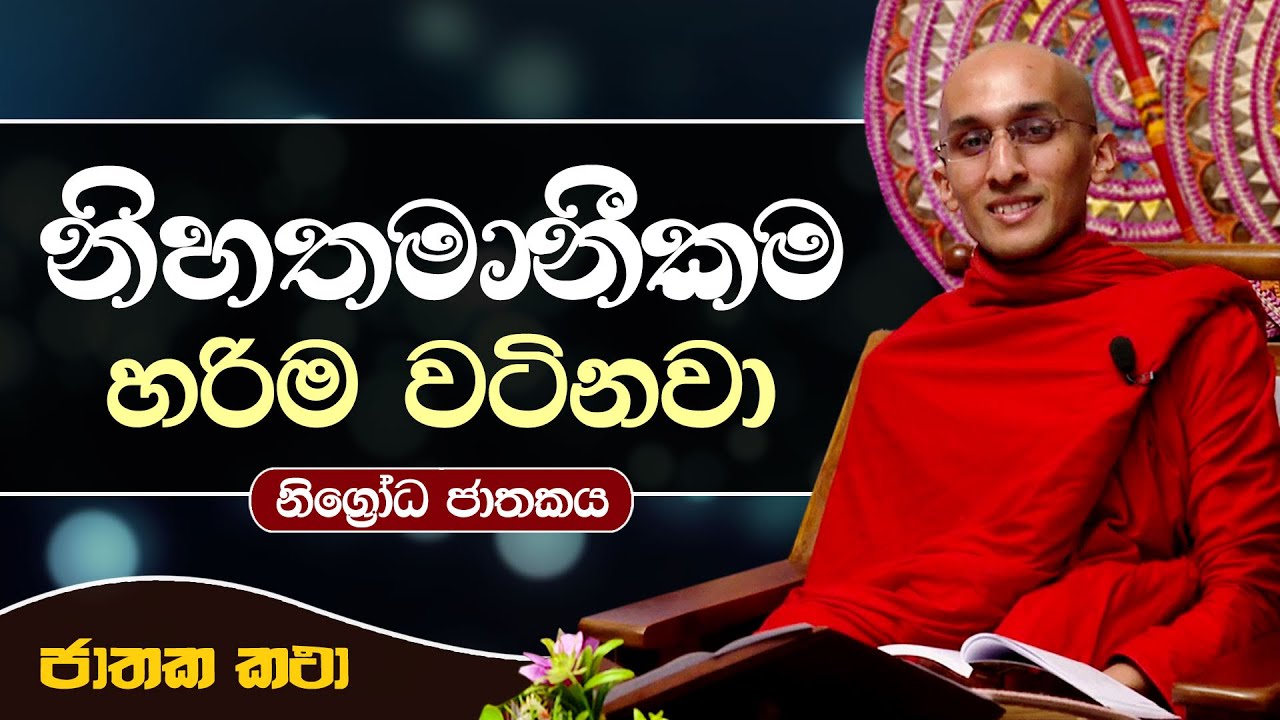 32) නිහතමානීකම හරිම වටිනවා  | නිග්‍රෝධ ජාතකය | Jathaka Katha