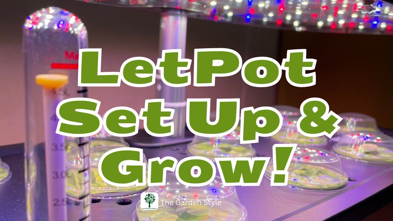 LetPot Set Up, Seed Sowing and Seedling Care #letpot #indoorhydroponics #indoorgardening