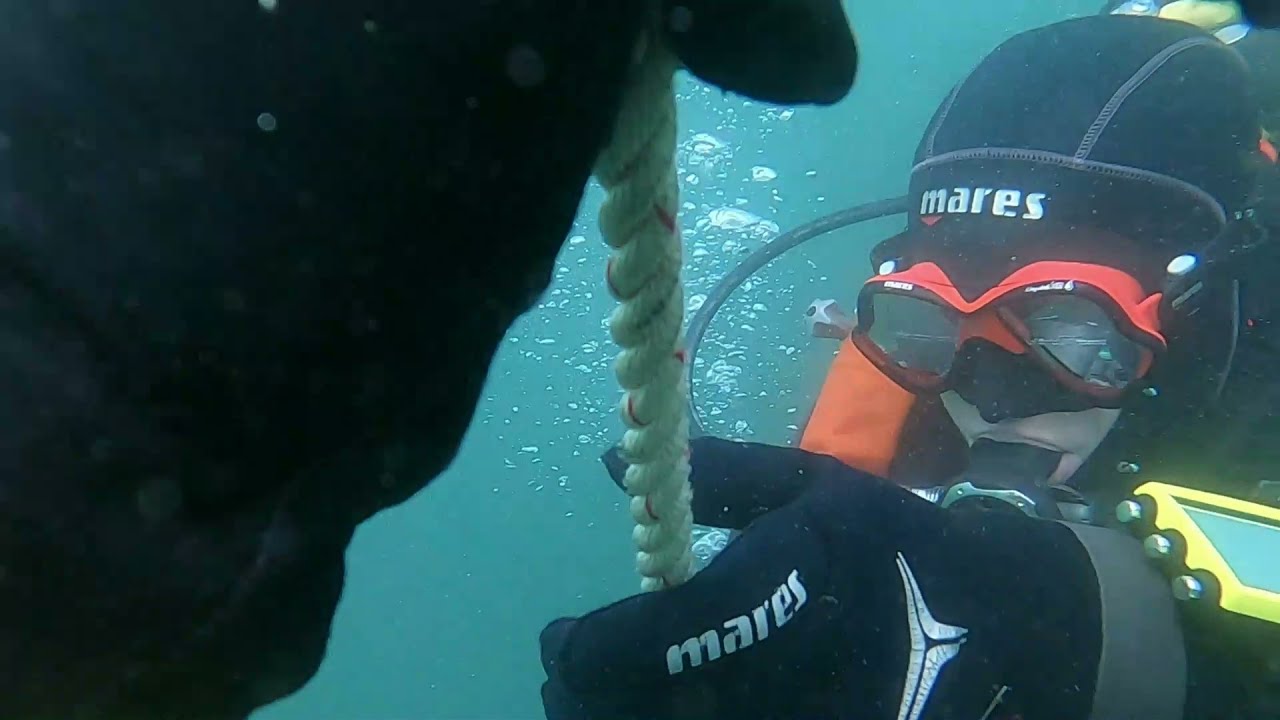 Plongée du 20 juin 2021 sur l'épave du Viking 7