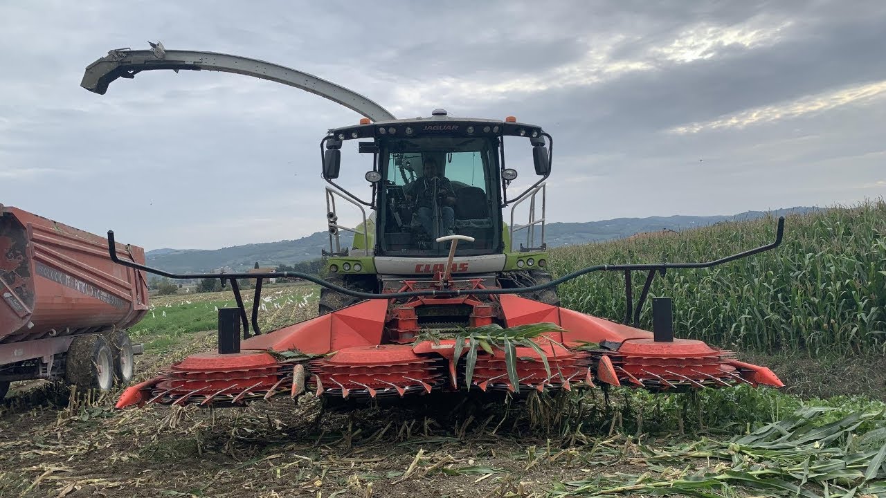 CabView | Claas Jaguar 960 Shredlage + Kemper 460 Plus | Insilato 2022