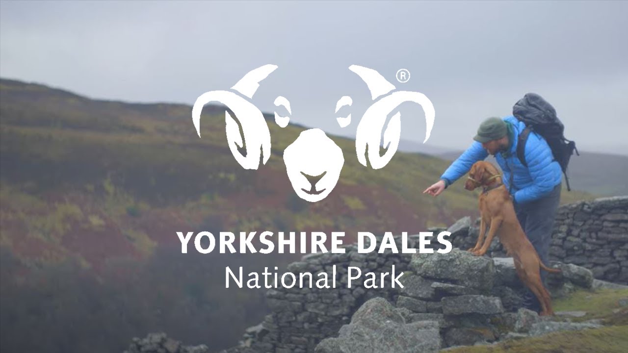 Dog Walking in the Yorkshire Dales