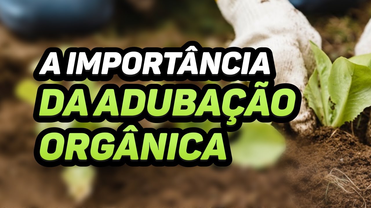 A IMPORT&Acirc;NCIA da ADUBA&Ccedil;&Atilde;O ORG&Acirc;NICA