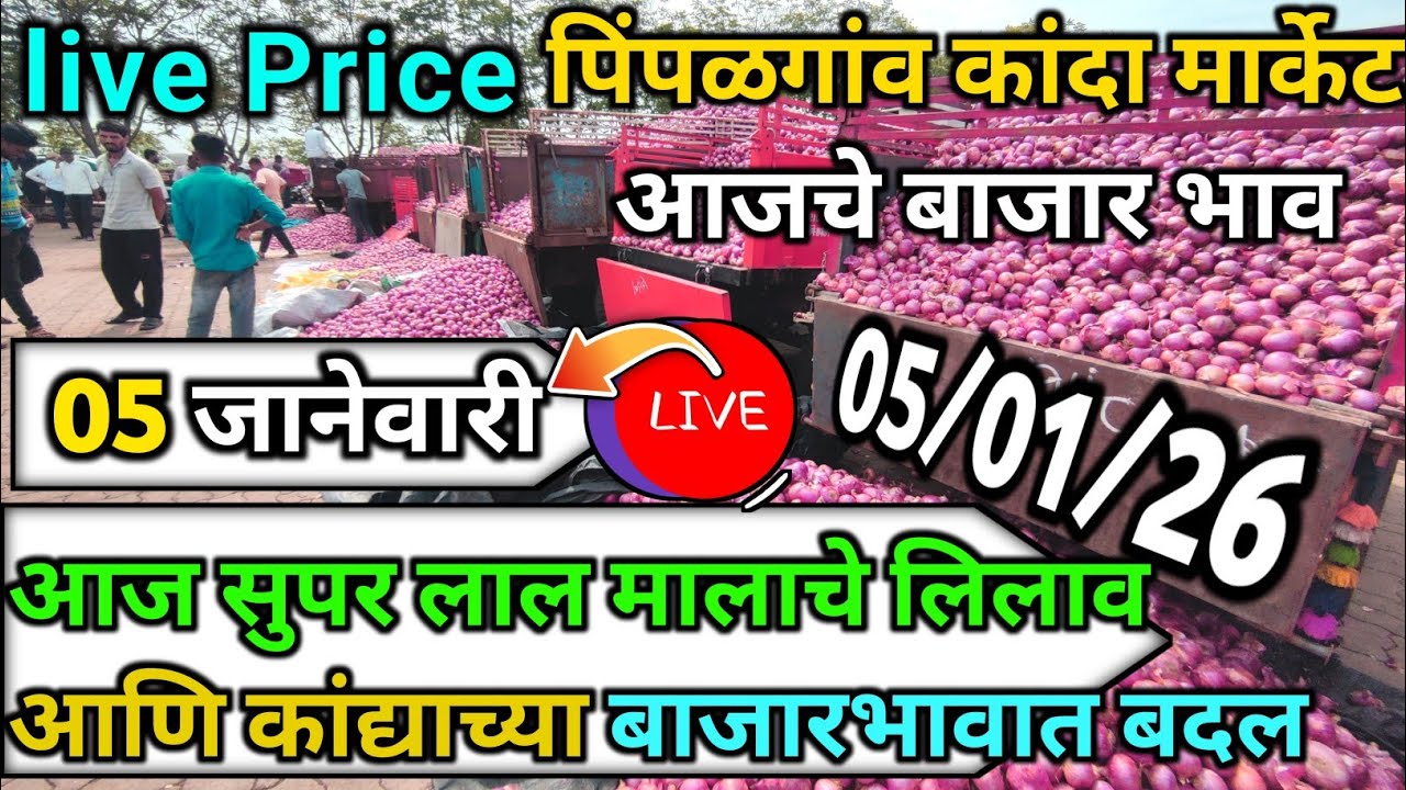Pimpalgaon Onion Market Price Today:Latest Rates And Insights 05 January 2025