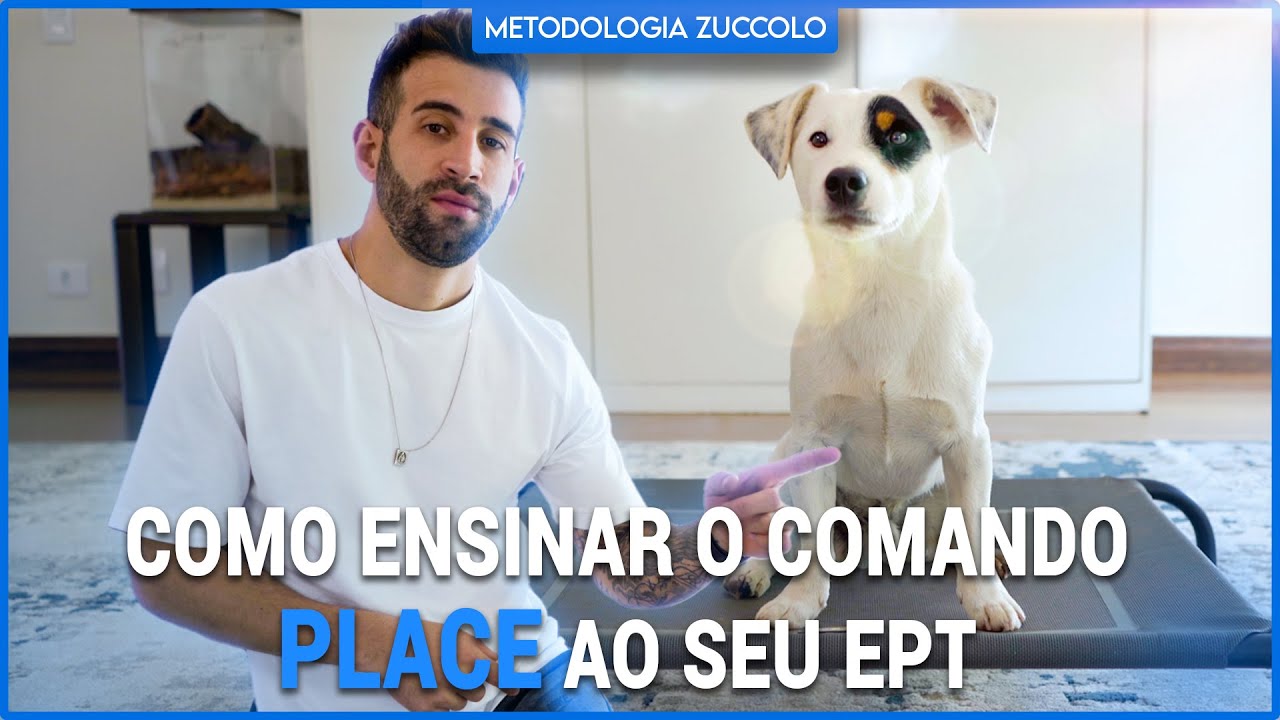 COMO ENSINAR O COMANDO PLEACE AO SEU PET |  METODOLOGIA LZ