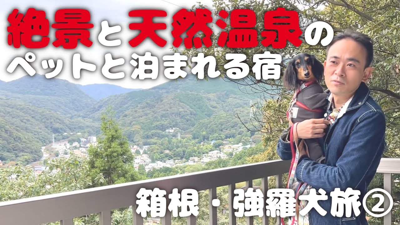 【犬連れ旅行神奈川箱根宿】全国旅行支援で「ドッグパレスリゾート箱根」さんに宿泊!クーポンでお土産爆買い!1泊2日わんこ旅2/2 2022.10