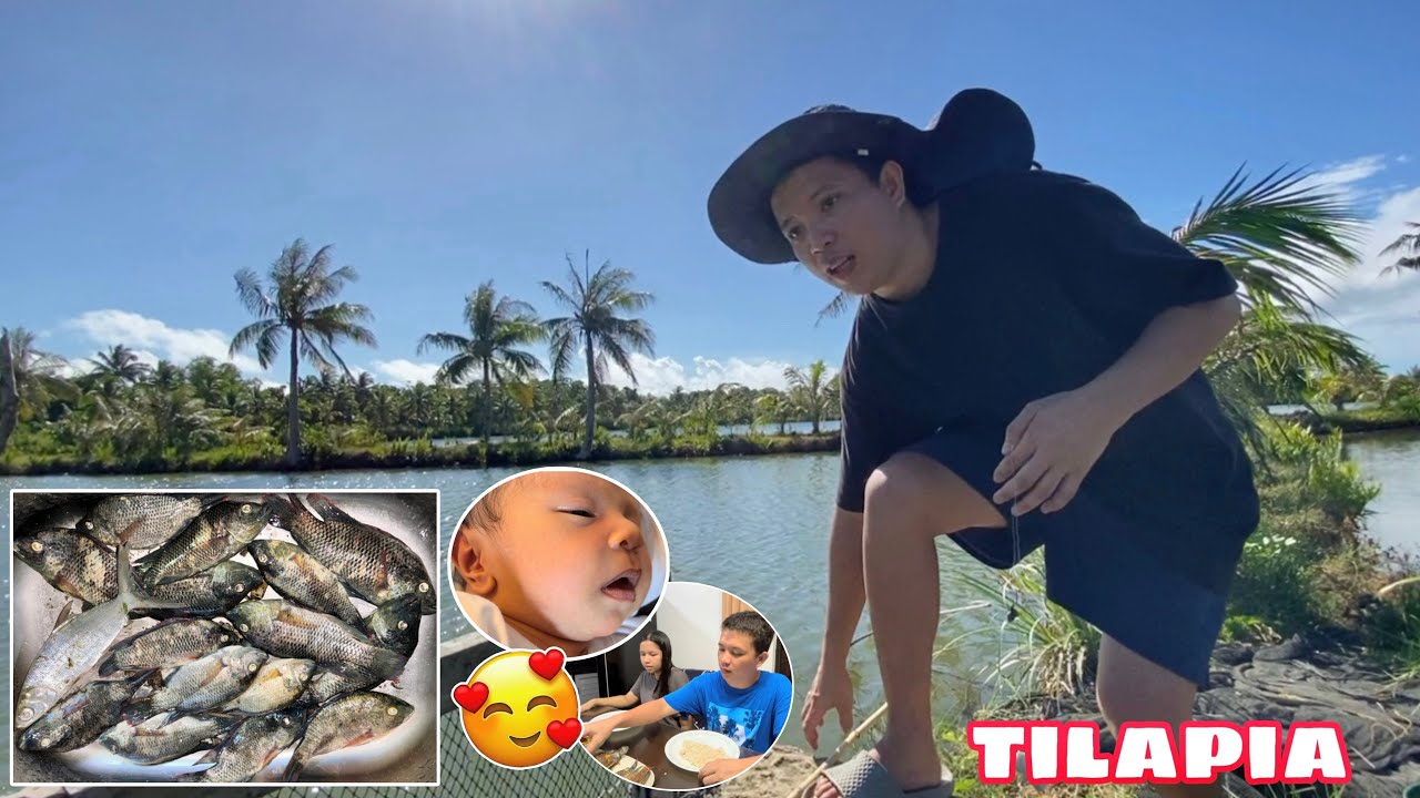 NAMINGWIT SI BAL NG TILAPIA SA PALAISDAAN + Nagluto ako ng Adobong Sitaw at Pritong Tilapia
