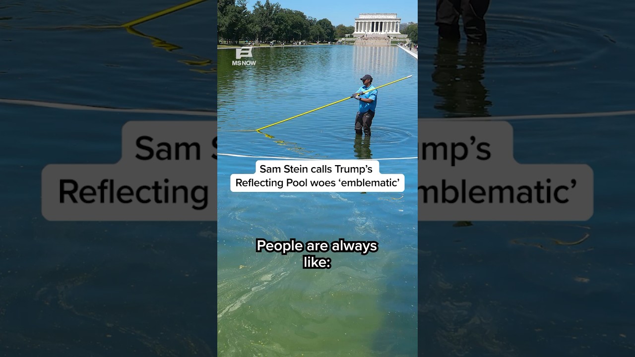 Sam Stein calls Trump&rsquo;s Reflecting Pool woes &lsquo;emblematic&rsquo;