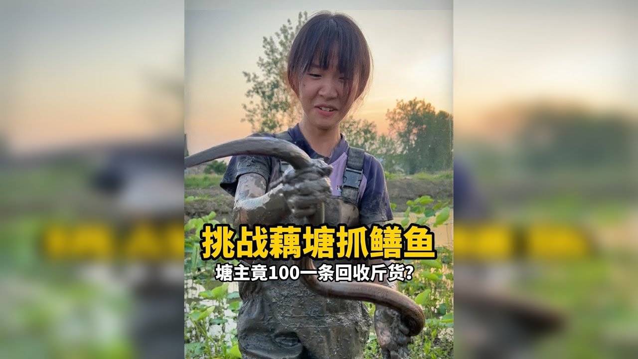 幺妹挑战藕塘抓鳝鱼，最后没想到抓了那么多斤货