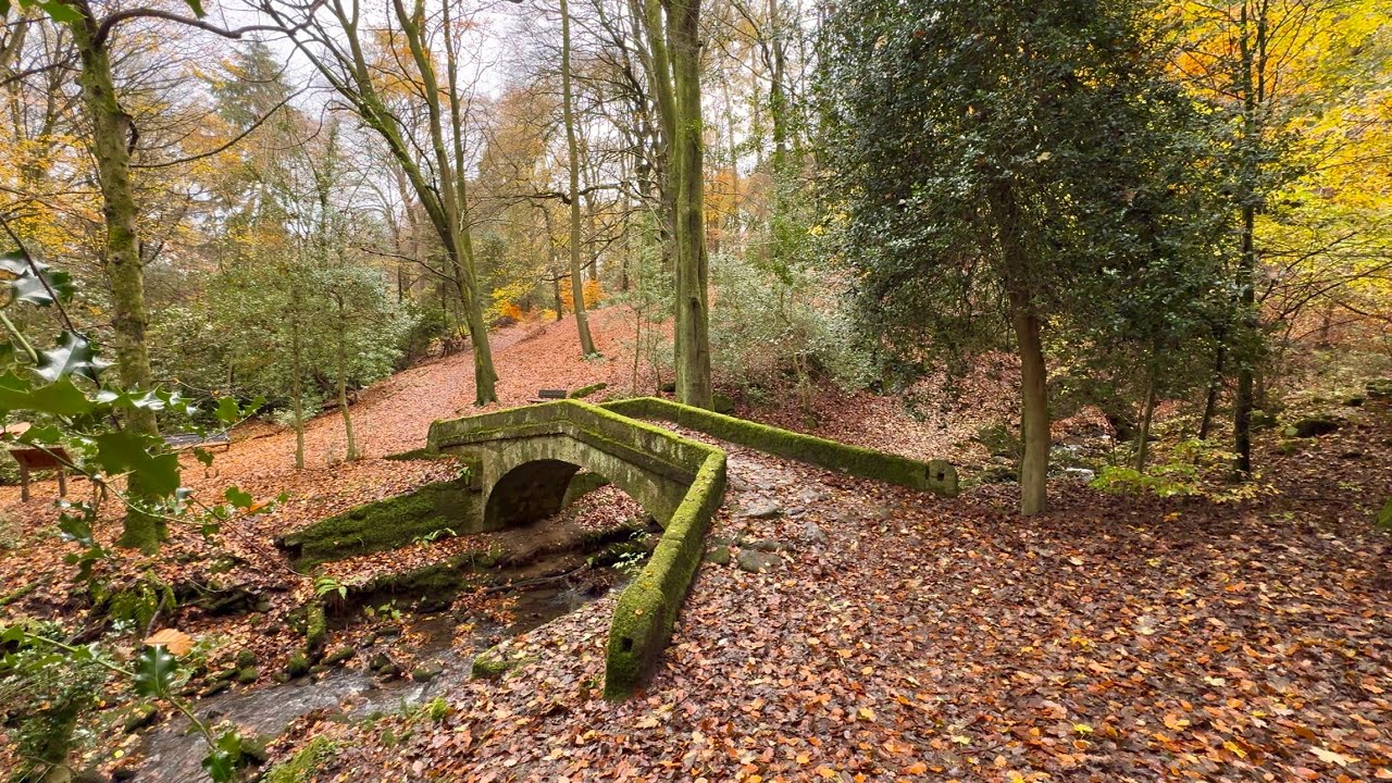 Glen Howe Park, Wharncliffe Side, Sheffield, 8/11/25