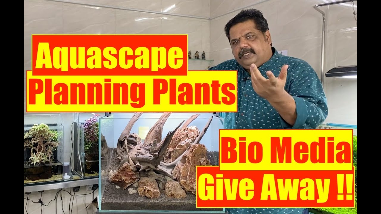 Choosing Plants For Aquascape | Plant Selection In Nature Aquarium | Mayur Dev Aquascaper HD 1080p
