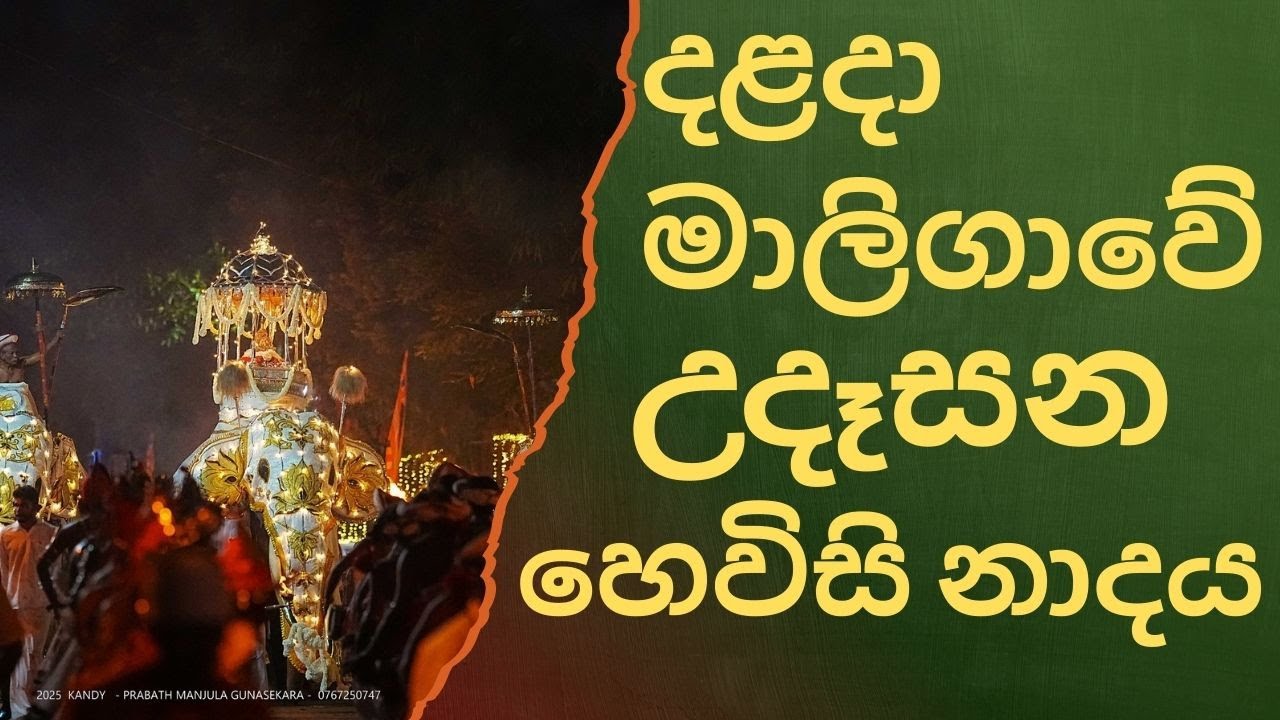 දළදා මාලිගාවේ සවස් තේවා හේවිසි – හදවත පිරිසිදු කරන නාදය 🎵 SIRI DALADA THEWA HEVISI NADAYA