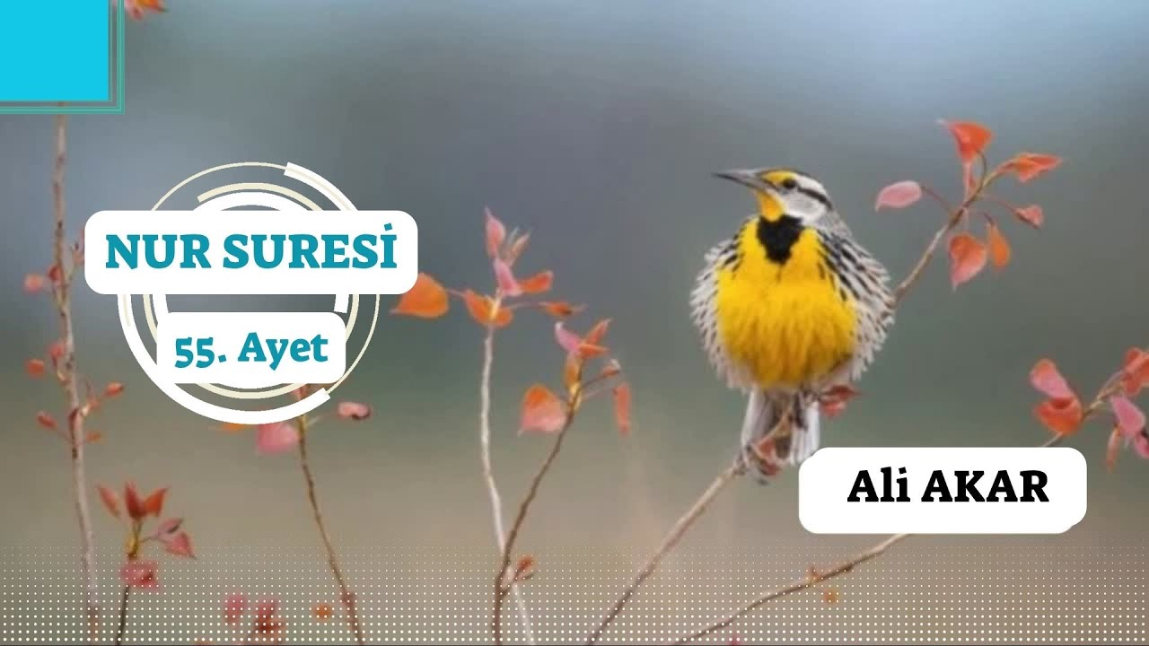 Nur Suresi: 55.Ayet | Ali AKAR || Tefsir Dersleri