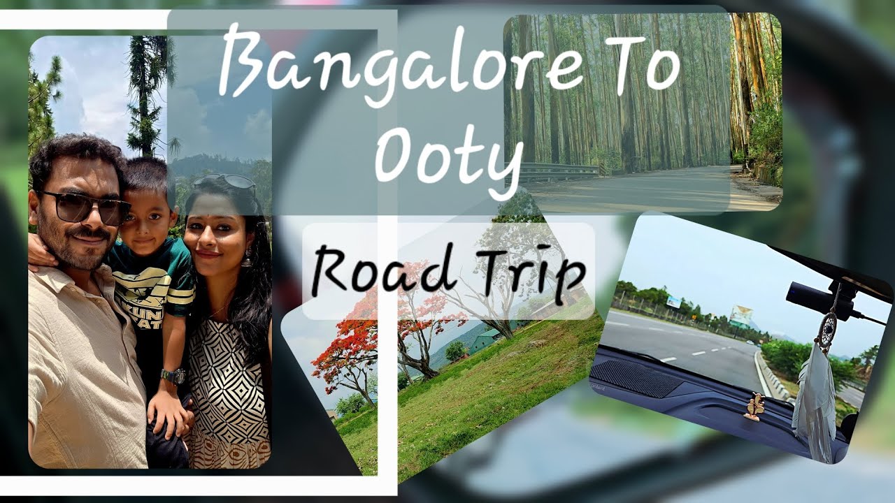 Bangalore to Ooty | Road Trip | Bandipur, Mudumalai, Gudalur.#familytrip #ooty #coonor #familytravel