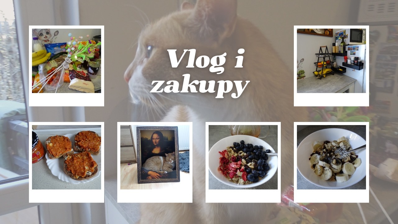 VLOG💖 Zakupy z Temu✨️ Dino i Rossmanna🛍 Nie mam czasu na YT😟 Vlog z paru tygodni @kociaranaluzievlog