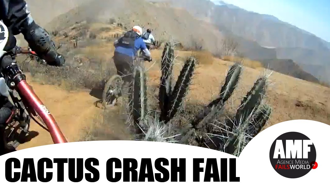 Racer ending in Cactus - Fails World