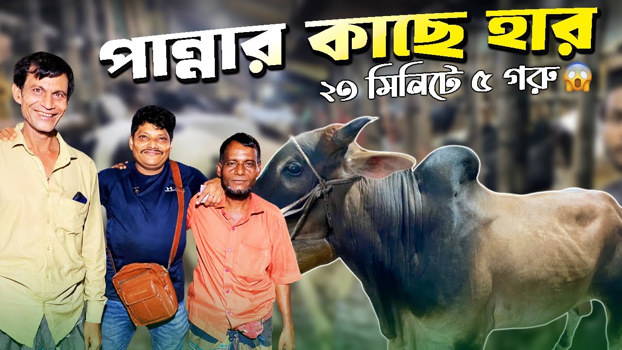 🔥 গাবতলী হাটে অবাক জয়! 😲 আকরাম ভাই একদিনে ৫ গরু 🐂 | কুষ্টিয়ার পান্নাত বেপারীর আগুন দরদাম 🔥