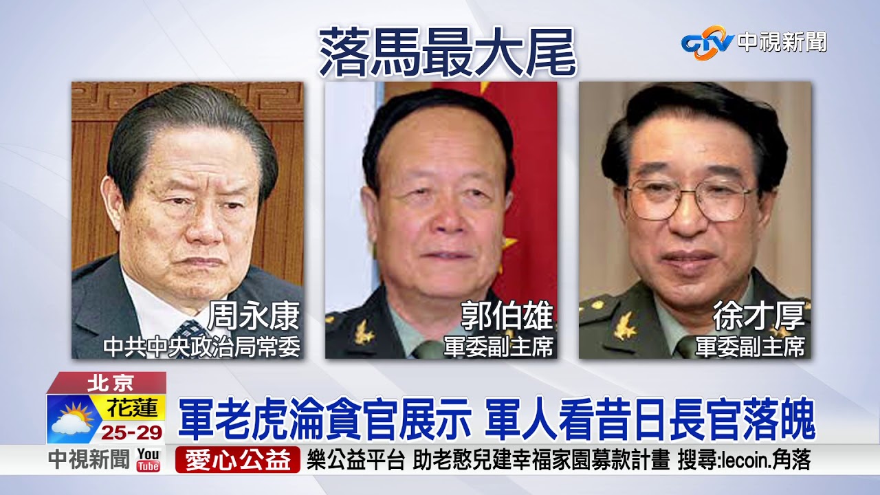 落魄慘樣全都露 遭打老虎淪