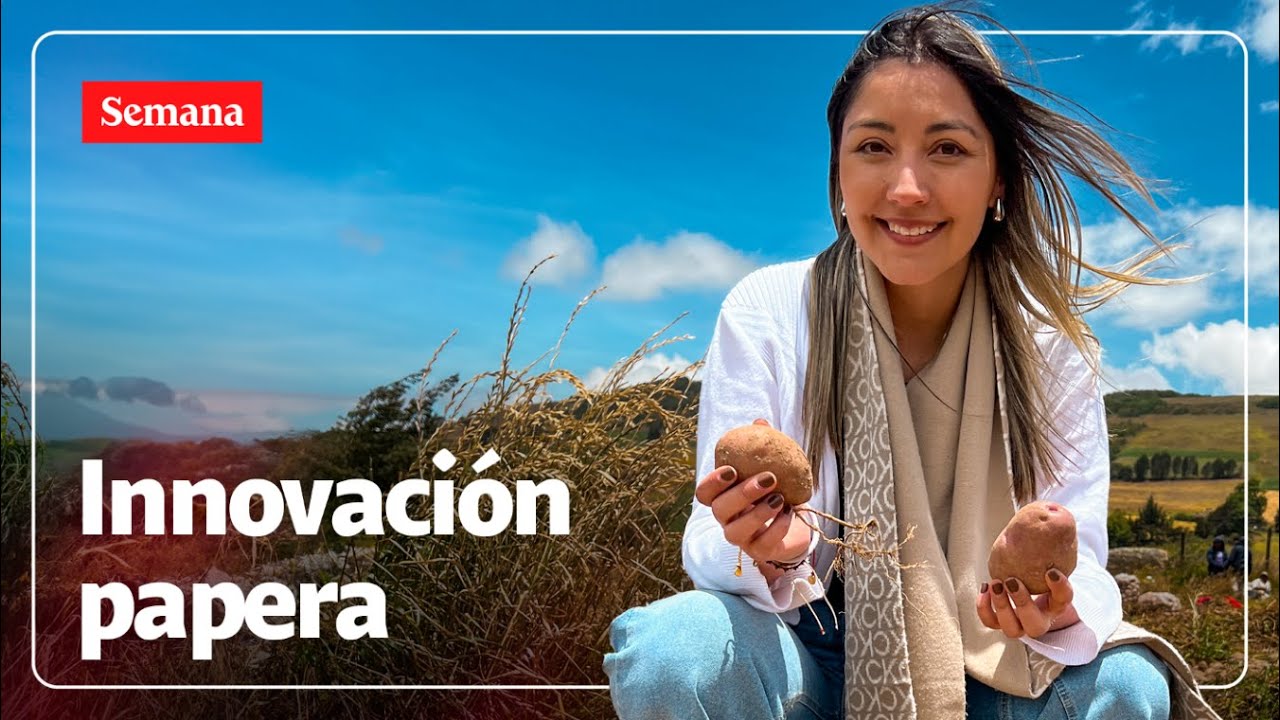 El renacer de la papa en Boyacá: ¿cómo los paperos están generando nuevos ingresos?