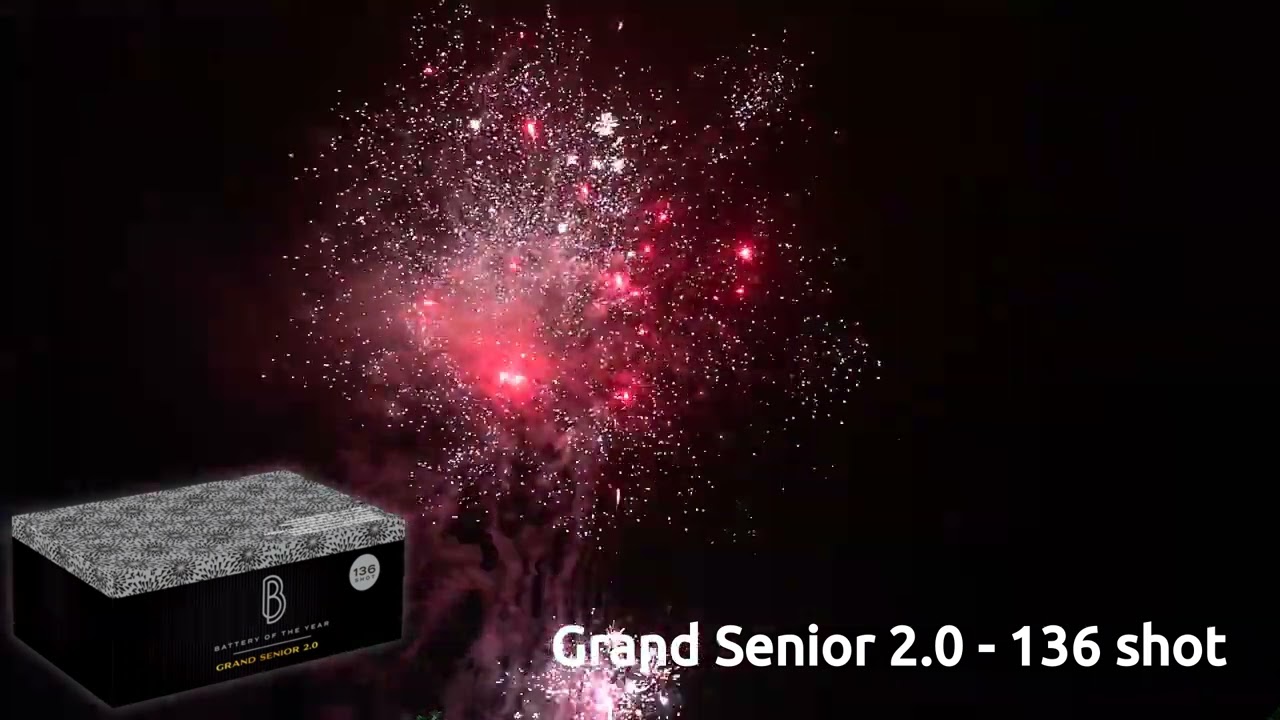 26 9580 Grand Senior 2 0  136 shot 886177